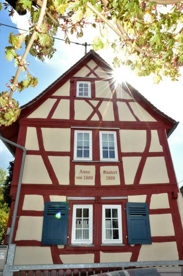 Apartmenthaus Am Zimmerplatz โฮฟไฮม์อัมเทานอส ภายนอก รูปภาพ